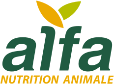 Alfa